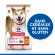 Alimentation pour chien - HILL'S Science Plan No Grain Medium Adult au Poulet - Croquettes pour chien pour chiens