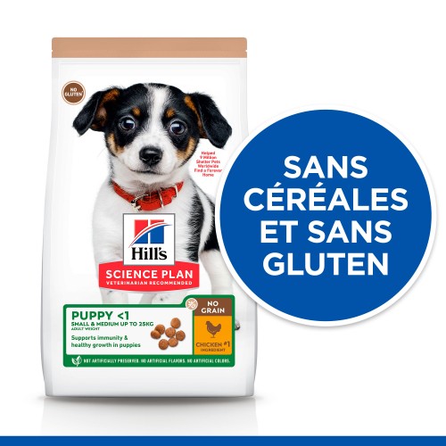 Alimentation pour chien - HILL'S Science Plan No Grain Small & Medium Puppy au Poulet - Croquettes pour chiot pour chiens