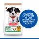 Alimentation pour chien - HILL'S Science Plan No Grain Small & Medium Puppy au Poulet - Croquettes pour chiot pour chiens