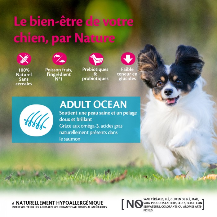Alimentation pour chien - Wellness CORE Ocean Small Breed - Saumon pour chiens