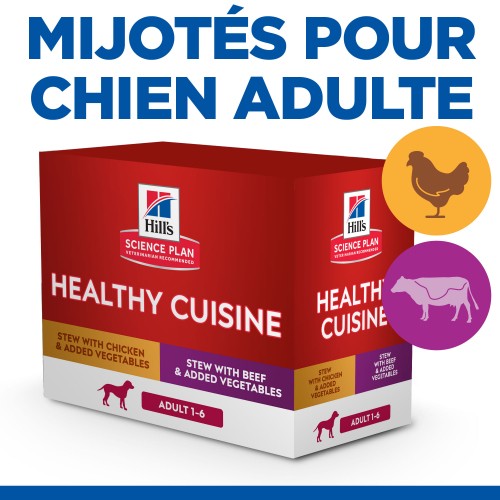 Alimentation pour chien - HILL'S Science Plan Healthy Cuisine Medium & Large Adult en Mijotés – Pâtée pour chien pour chiens