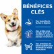 Alimentation pour chien - HILL'S Science Plan Healthy Cuisine Small & Mini Adult en Mijotés au Poulet & au Boeuf - Pâtée pour chien pour chiens