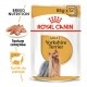 Alimentation pour chien - Royal Canin Yorkshire Terrier - Pâtée pour chien pour chiens