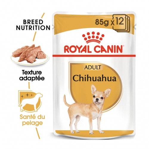 Alimentation pour chien - Royal Canin Chihuahua - Pâtée pour chien pour chiens