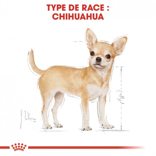 Alimentation pour chien - Royal Canin Chihuahua - Pâtée pour chien pour chiens