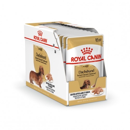 Alimentation pour chien - Royal Canin Teckel (Dachshund) - Pâtée pour chien pour chiens