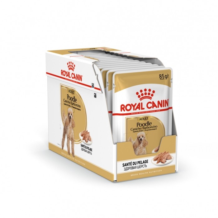 Alimentation pour chien - Royal Canin Caniche (Poodle) - Pâtée pour chien pour chiens