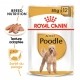 Alimentation pour chien - Royal Canin Caniche (Poodle) - Pâtée pour chien pour chiens