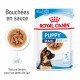 Alimentation pour chien - Royal Canin Maxi Puppy en Sauce - Pâtée pour chiot pour chiens