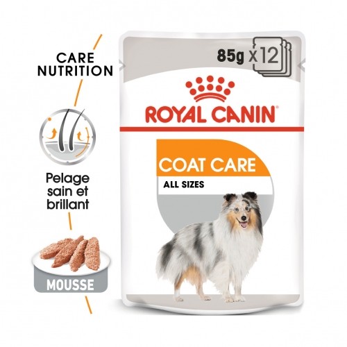 Alimentation pour chien - Royal Canin Coat Care - Pâtée pour chien pour chiens