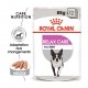 Care Friday - Royal Canin Relax Care - Pâtée pour chien pour chiens