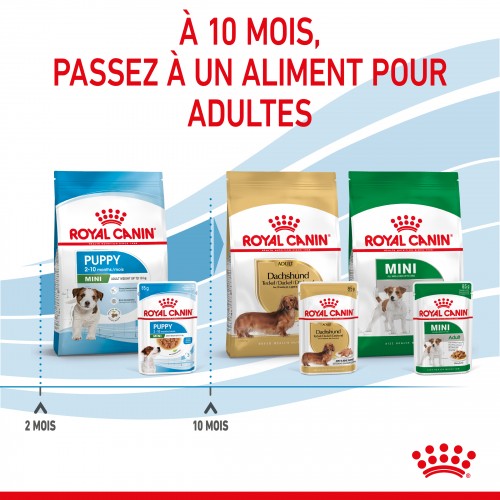 Boutique chiot - Royal Canin Mini Puppy - Pâtée pour chiot pour chiens