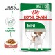 Alimentation pour chien - Royal Canin Mini Adult - Pâtée pour chien pour chiens