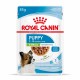 Alimentation pour chien - ROYAL CANIN X-Small Puppy en Sauce - Pâtée pour chiot pour chiens