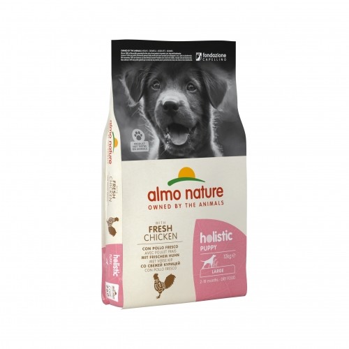 Alimentation pour chien - Almo Nature Croquettes Chiot - Holistic Large pour chiens