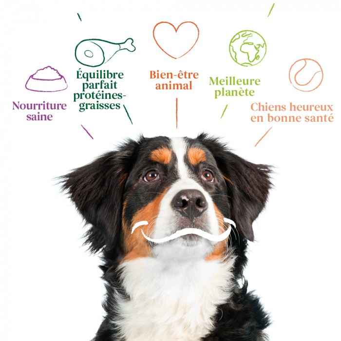 Alimentation pour chien - Yarrah croquettes bio pour chien adulte pour chiens