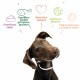 Alimentation pour chien - Yarrah croquettes bio sans céréales pour chien adulte pour chiens