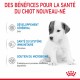 Alimentation pour chien - ROYAL CANIN Babydog Milk - Lait maternisé pour chiot pour chiens