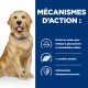 Alimentation pour chien - HILL’S Prescription Diet j/d Mobility en Boîtes au Poulet – Pâtée pour chien pour chiens