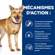 Alimentation pour chien - HILL'S Prescription Diet i/d Digestive Care au Poulet - Croquettes pour chien pour chiens