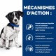 Alimentation pour chien - HILL'S Prescription Diet i/d Digestive Care Stress Mini en Mijotés au Poulet - Pâtée pour chien pour chiens