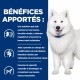 Alimentation pour chien - HILL'S Prescription Diet k/d j/d Kidney + Mobility en bouchées mijotées au Poulet - Pâtée pour chien pour chiens