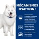 Alimentation pour chien - Hill's Prescription Diet k/d j/d Kidney + Mobility - Croquettes pour chien pour chiens