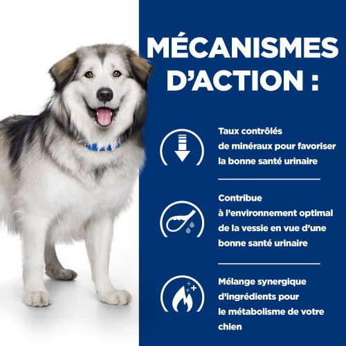 Alimentation pour chien - HILL'S Prescription Diet c/d Urinary Multicare + Metabolic - Croquettes pour chien pour chiens