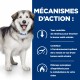 Alimentation pour chien - Hill's Prescription Diet c/d Multicare + Metabolic - Croquettes pour chien pour chiens