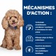 Alimentation pour chien - HILL'S Prescription Diet Gastrointestinal Biome Mini au Poulet - Croquettes pour chien pour chiens