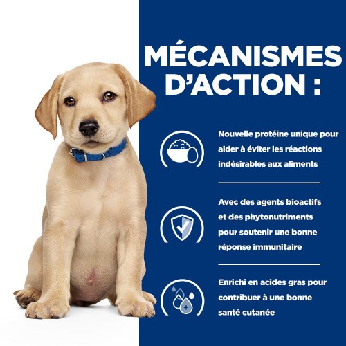 Alimentation pour chien - HILL'S Prescription Diet Derm Complete Puppy - Croquettes pour chiot pour chiens