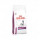 Alimentation pour chien - Royal Canin Veterinary Renal Special pour chiens