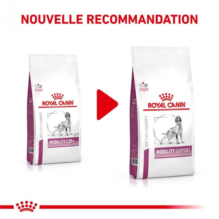 Alimentation pour chien - Royal Canin Veterinary Mobility Support - Croquettes pour chien pour chiens