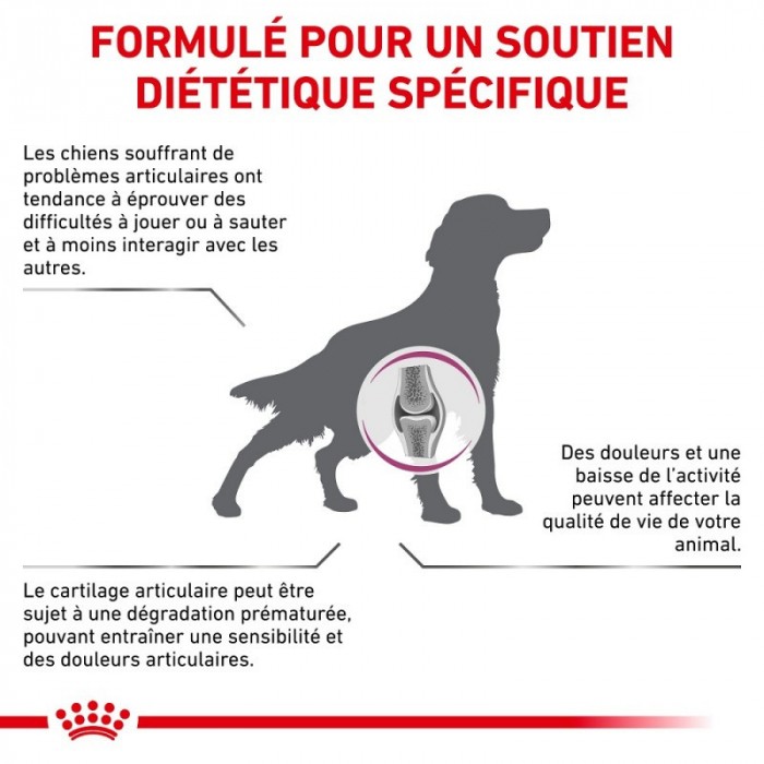 Alimentation pour chien - Royal Canin Veterinary Mobility Support - Croquettes pour chien pour chiens