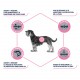 Alimentation pour chien - ADVANCE Veterinary Diets Atopic Mini - Croquettes pour chien pour chiens