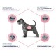 Alimentation pour chien - ADVANCE Veterinary Diets Atopic - Croquettes pour chien pour chiens