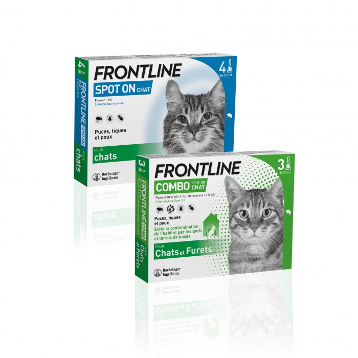 Anti puce chat, anti tique chat - Frontline Spot-On chat pour chats