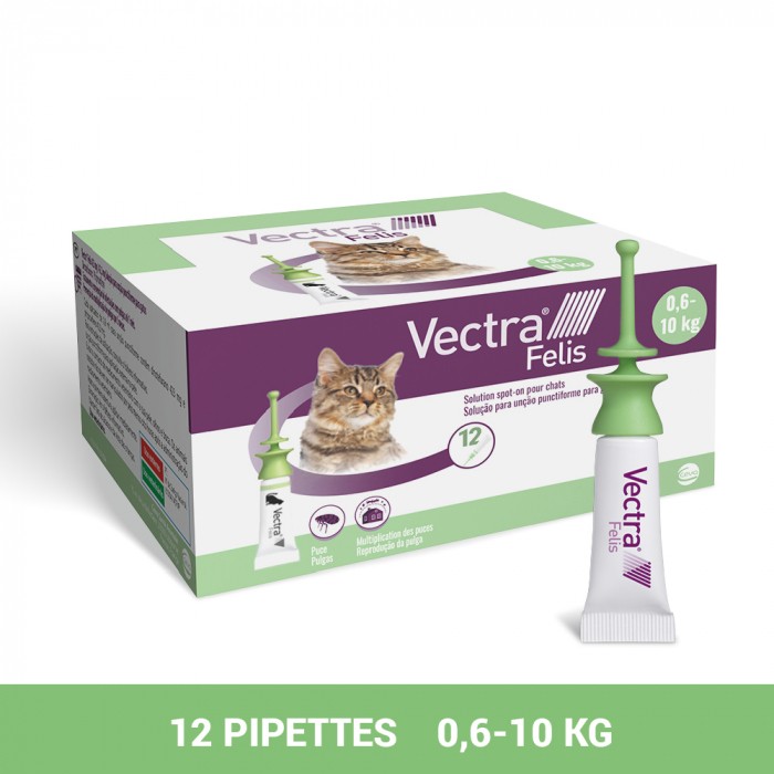 Pipettes Vectra Felis chat