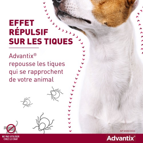 Anti puce chien, anti tique chien - Pipettes Advantix chien pour chiens