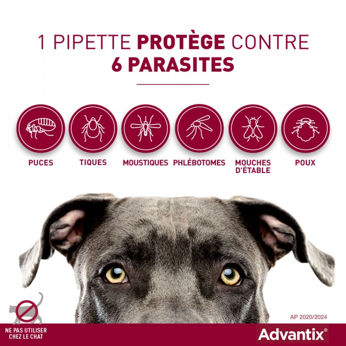 Anti puce chien, anti tique chien - Pipettes Advantix chien pour chiens