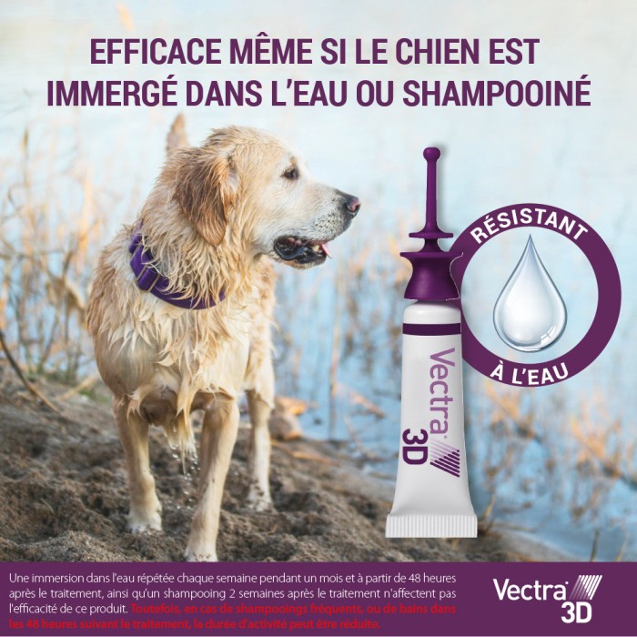 Anti puce chien, anti tique chien - Pipettes antiparasitaires Vectra 3D Spot On Chien pour chiens