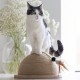 Arbre à chat et griffoir - Griffoir Half Carb Pole Vivi pour chats