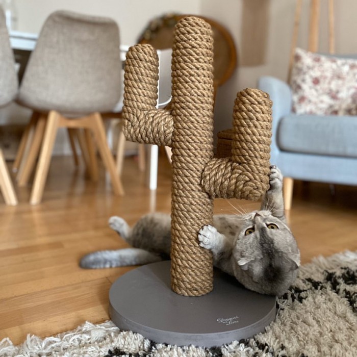 Arbre à chat et griffoir - Griffoir Cactus pour chats