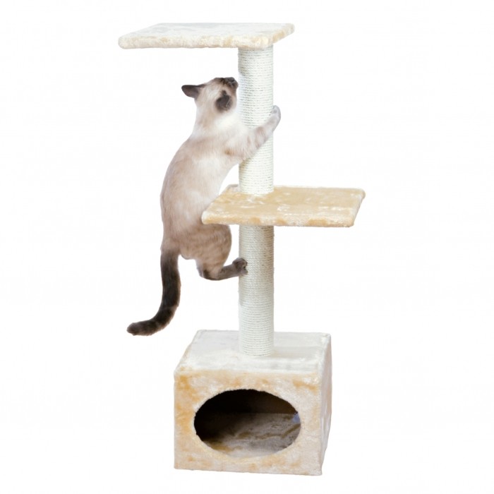 Arbre à chat et griffoir - Arbre à chat Badalona pour chats