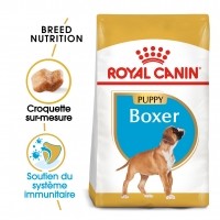Croquettes pour chien - Royal Canin Boxer Puppy - Croquettes pour chiot Boxer Junior