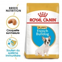 Croquettes pour chien - Royal Canin Bouledogue Français Puppy - Croquettes pour chiot Bouledogue Français Junior