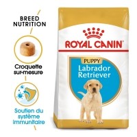 Croquettes pour chien - Royal Canin Labrador Retriever Puppy - Croquettes pour chiot 