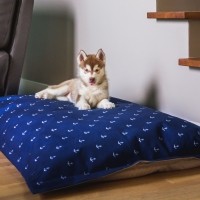 Coussin pour chien - Coussin Cloud Navy Be One Breed