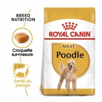 Croquettes pour chien - Royal Canin Caniche Adult (Poodle) - Croquettes pour chien Caniche (Poodle)