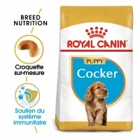 Croquettes pour chien - Royal Canin Cocker Puppy Cocker junior